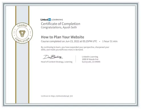Pofessional Certification on How to Plan your Website.