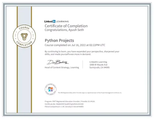 Python working with Big Projects.