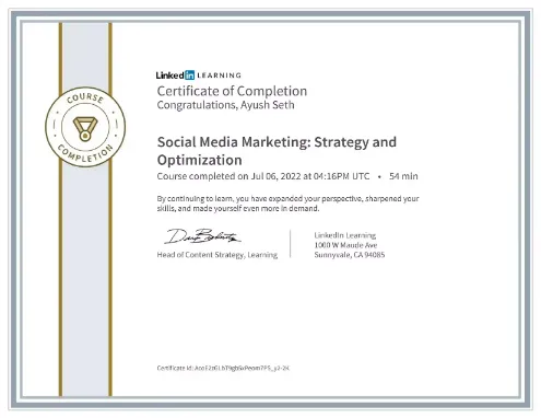 Social Media Marketing: Optimization and Training.
